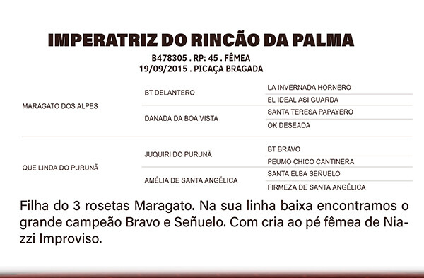 Geração IMPERATRIZ DO RINÇÃO DA PALMA