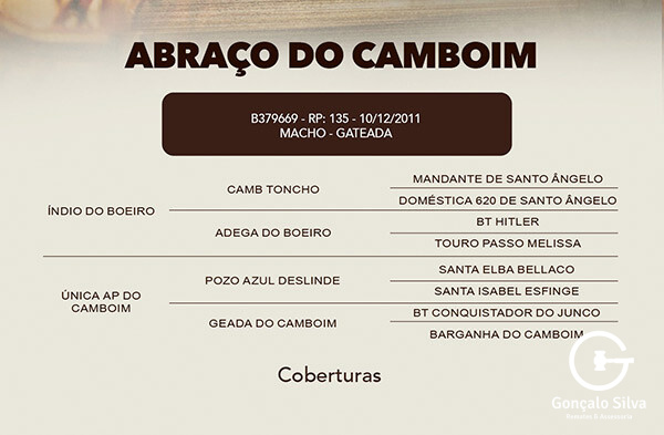 Geração COBERTURA ABRAÇO DO CAMBOIM