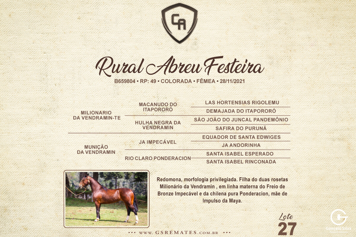 Geração RURAL ABREU FESTEIRA