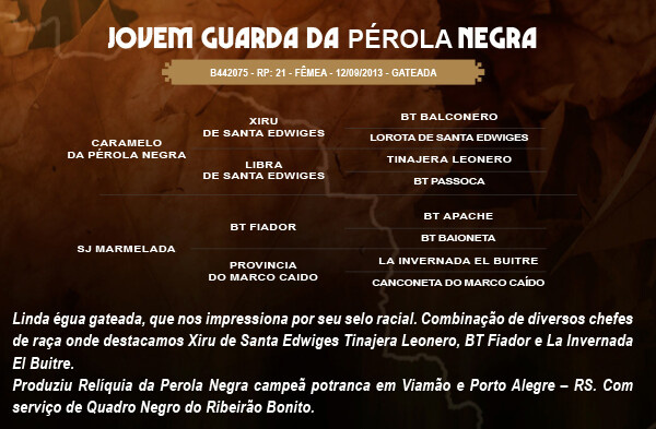 Geração JOVEM GUARDA DA PÉROLA NEGRA 