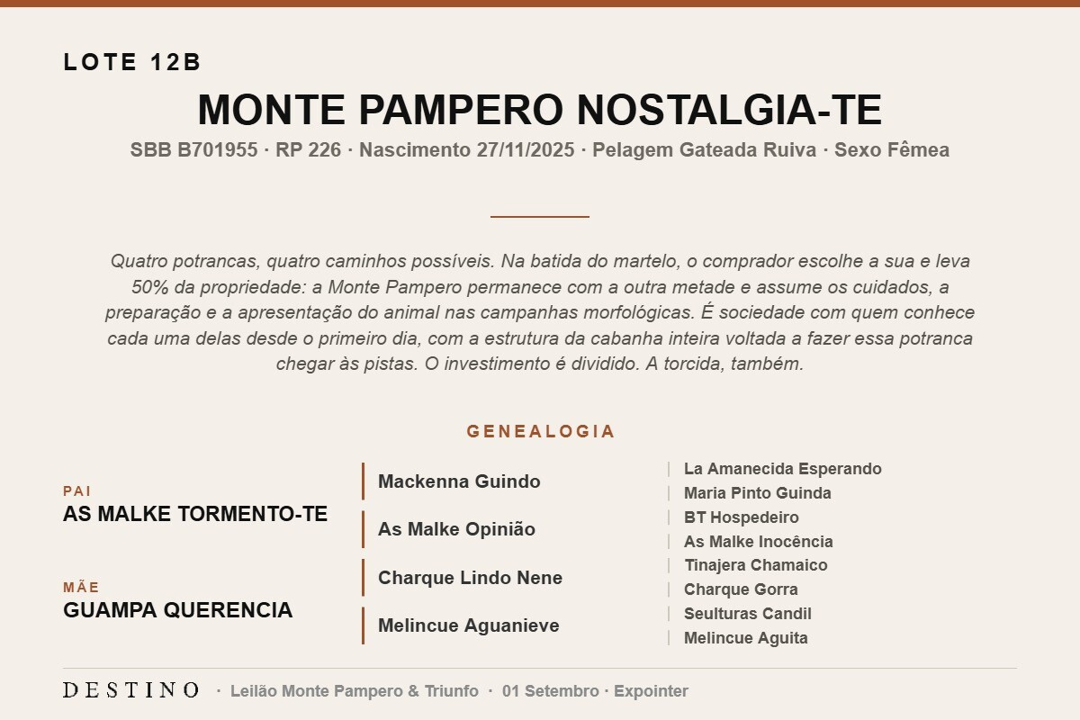 Geração MONTE PAMPERO NOSTALGIA-TE - (Venda vertical)