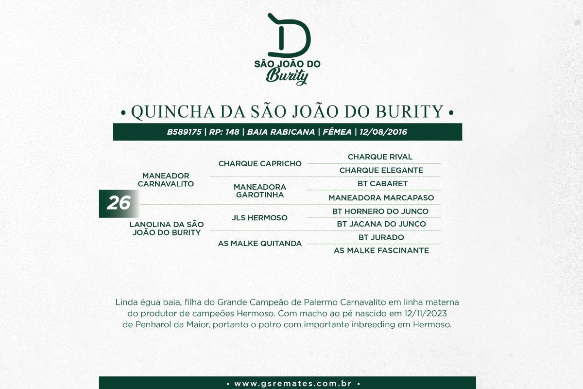 Geração QUINCHA DA SÃO JOÃO DO BURITY