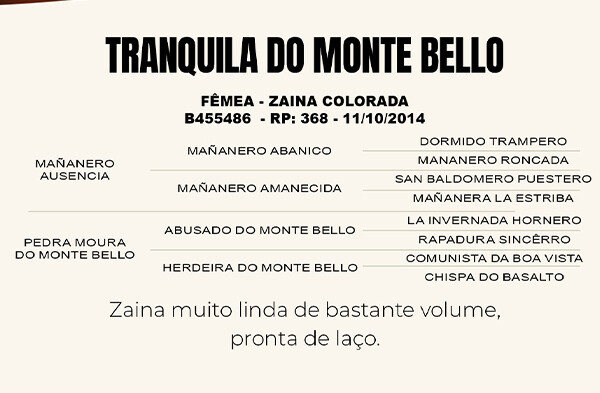 Geração TRANQUILA DO MONTE BELLO