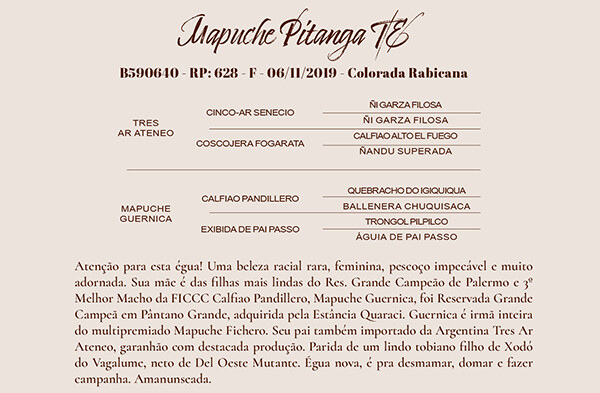 Geração MAPUCHE PITANGA - TE