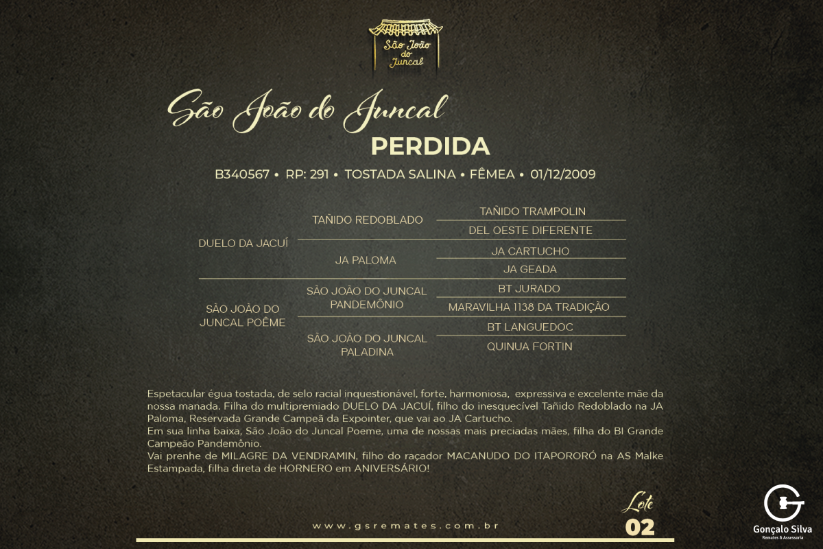 Geração SÃO JOÃO DO JUNCAL PERDIDA