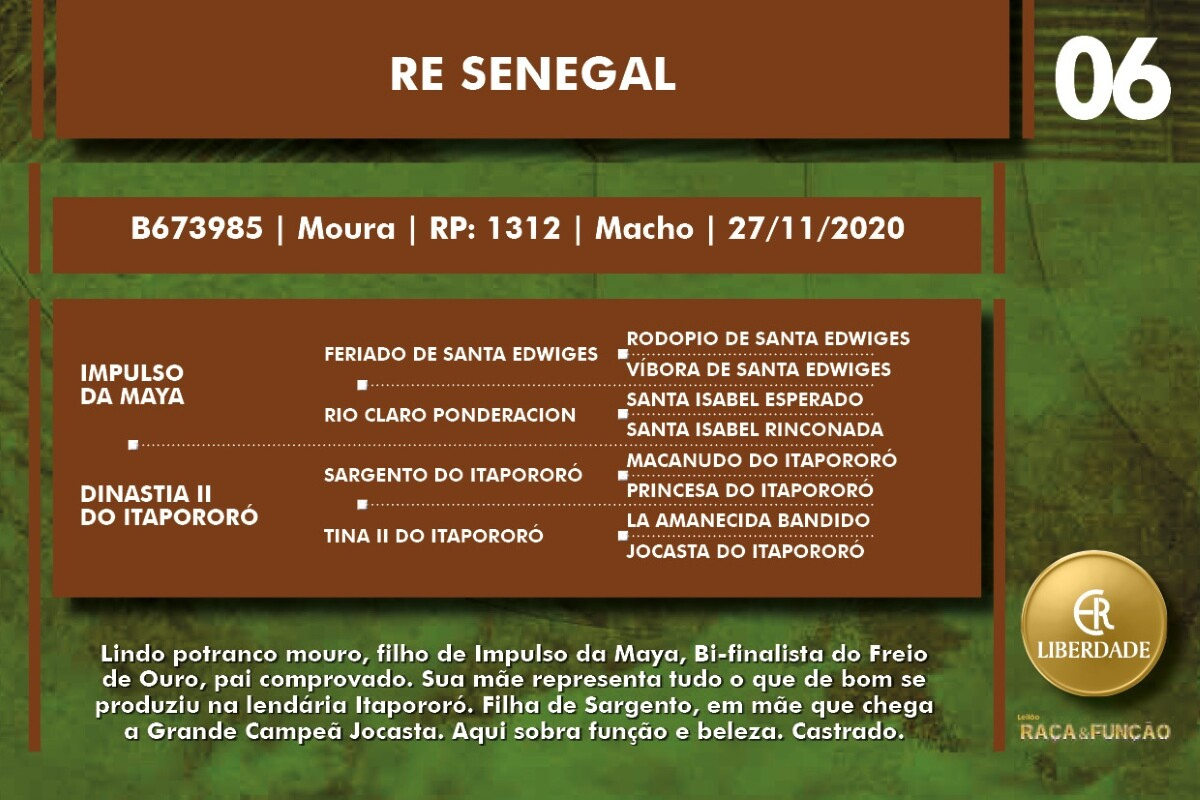 Geração RE SENEGAL