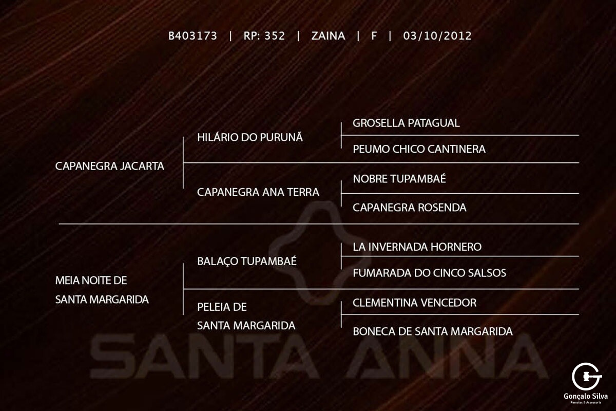 Geração SERENA DE SANTA MARGARIDA