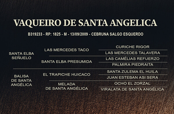Geração VAQUEIRO DE SANTA ANGELICA