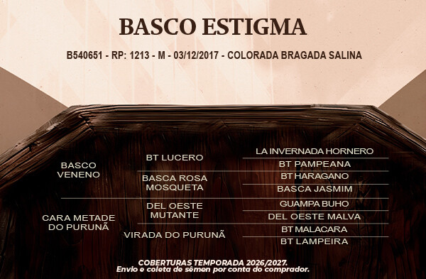 Geração Basco Estigma