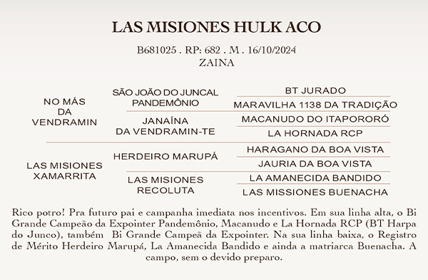 Geração LAS MISIONES HULK ACO