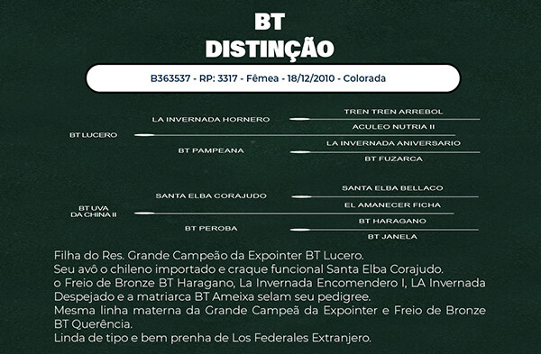 Geração BT DISTINÇÃO