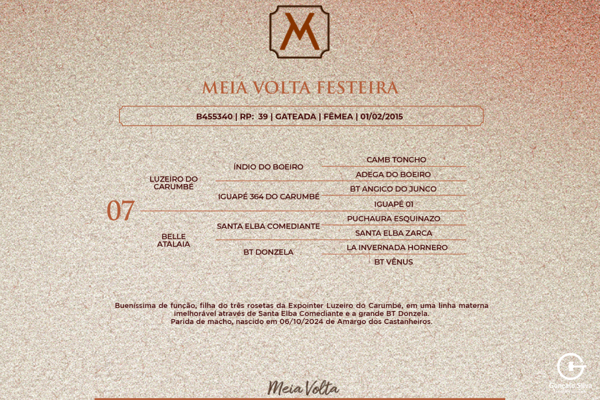 Geração MEIA VOLTA FESTEIRA