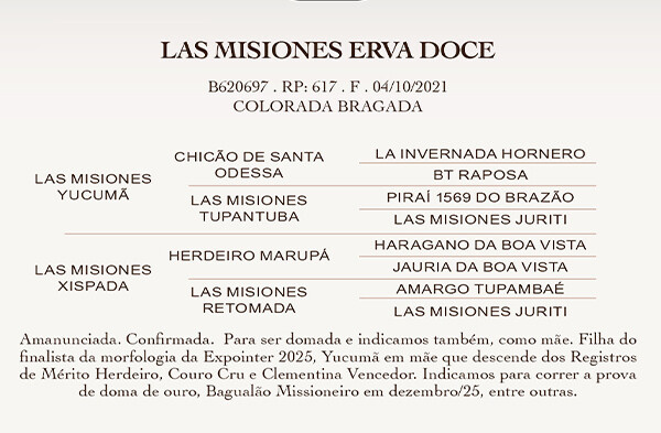 Geração LAS MISIONES ERVA DOCE