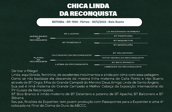 Geração CHICA LINDA DA RECONQUISTA