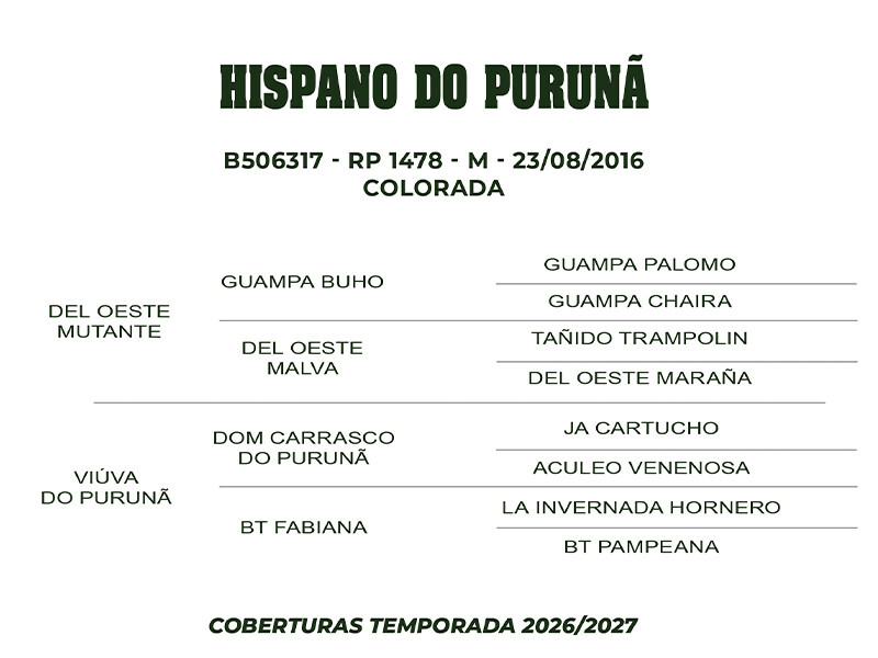 Geração COBERTURA HISPANO DO PURUNÃ 