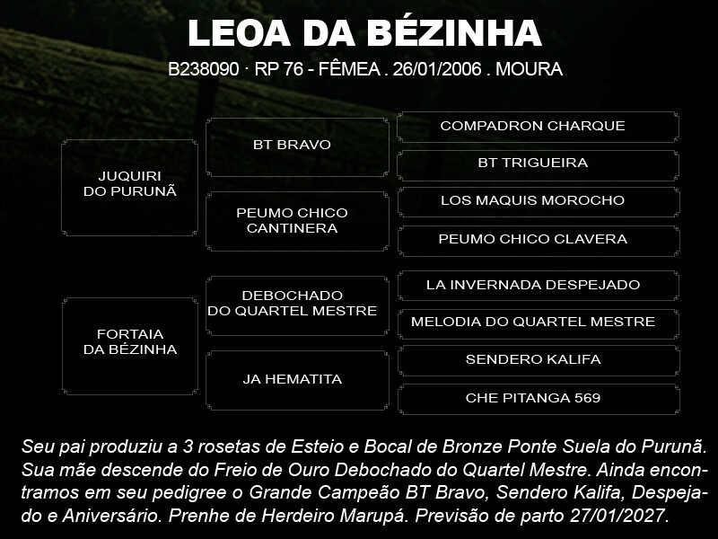 Geração LEOA DA BEZINHA 