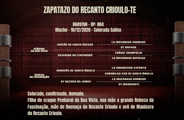 Geração ZAPATAZO DO RECANTO CRIOULO-TE