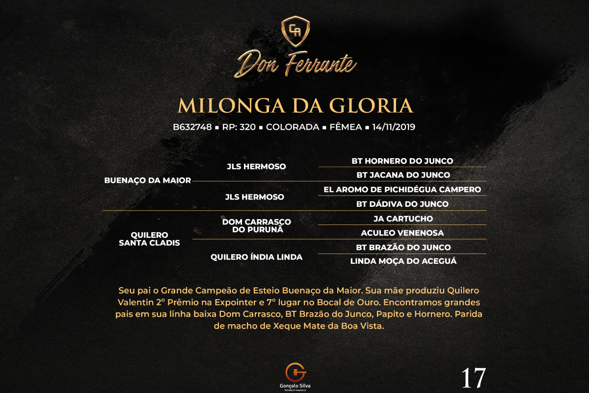 Geração MILONGA DA GLORIA 