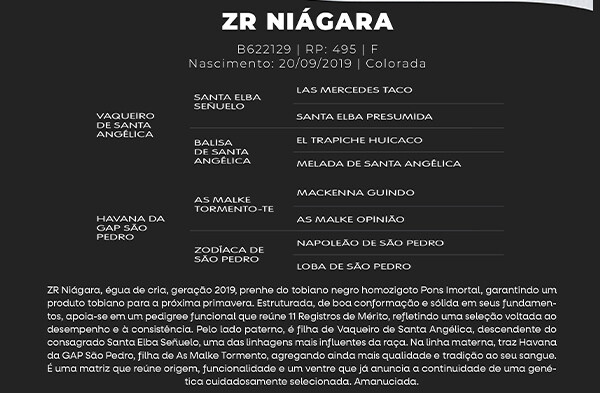 Geração ZR NIÁGARA