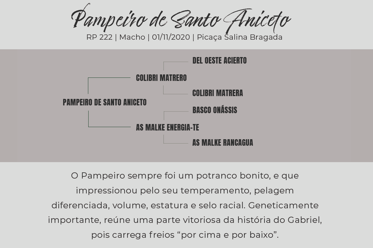 Geração PAMPEIRO DE SANTO ANICETO - COBERTURAS