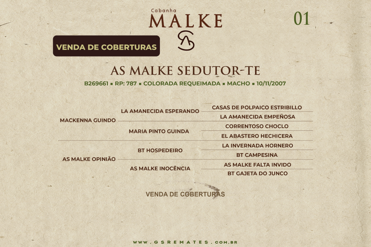 Geração COBERTURAS - AS MALKE SEDUTOR-TE