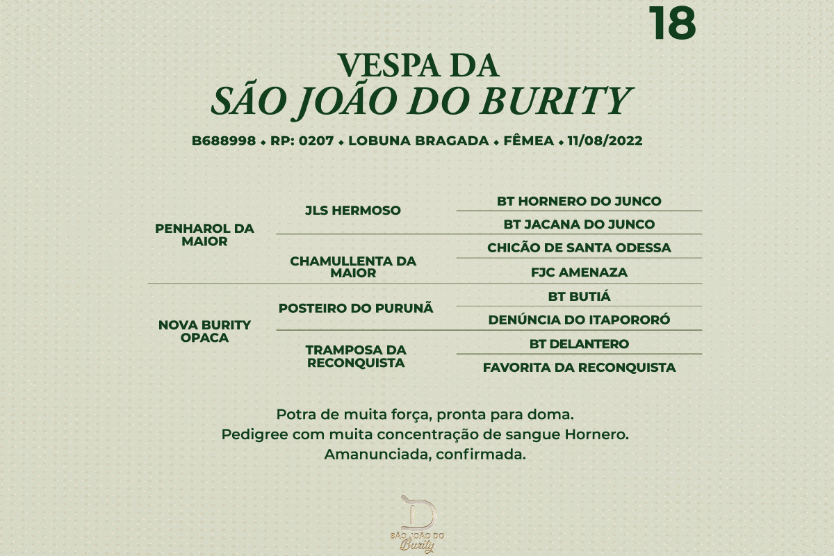 Geração VESPA DA SÃO JOÃO DO BURITY