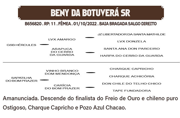 Geração BENY DA BOTUVERA SR