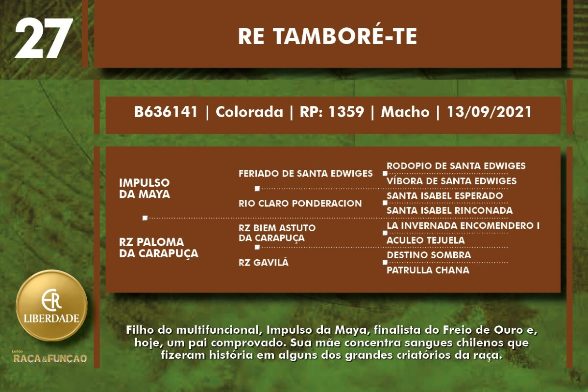 Geração RE TAMBORÉ-TE