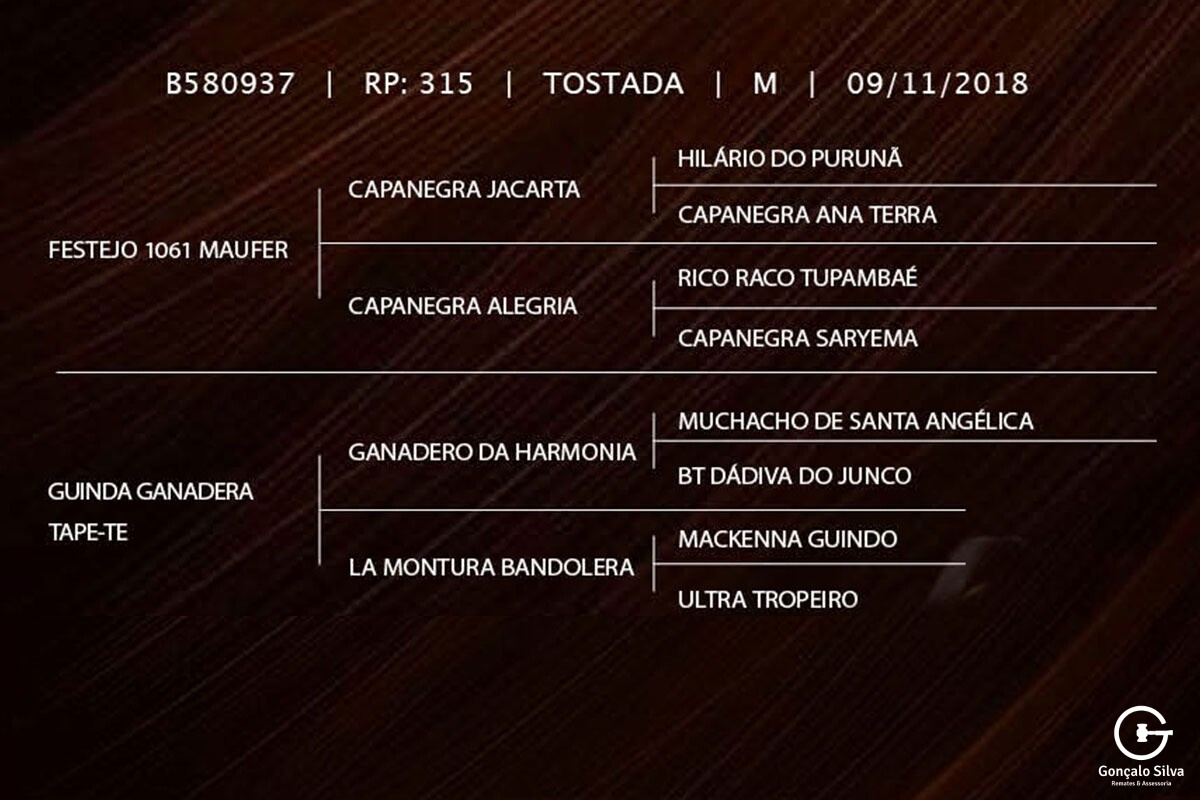Geração LUGANO TAPE-TE (Coberturas)