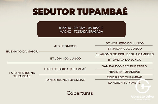 Geração COBERTURA SEDUTOR TUPAMBAE