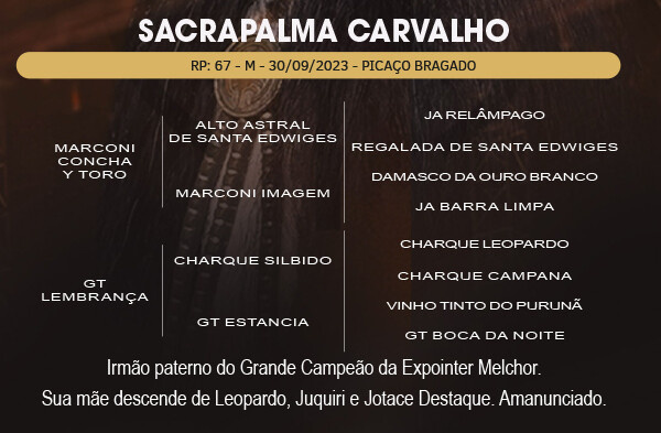 Geração SACRAPALMA CARVALHO 
