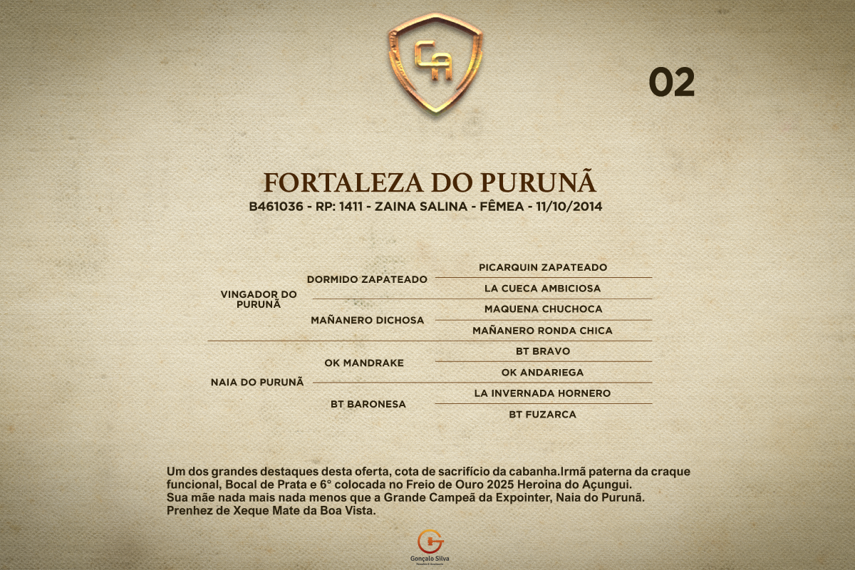 Geração FORTALEZA DO PURUNÃ