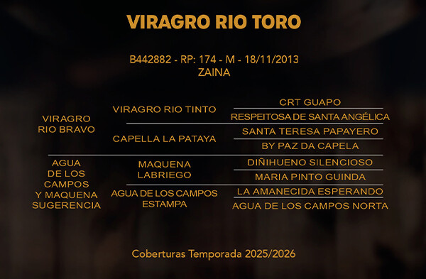 Geração VIRAGRO RIO NEGRO 