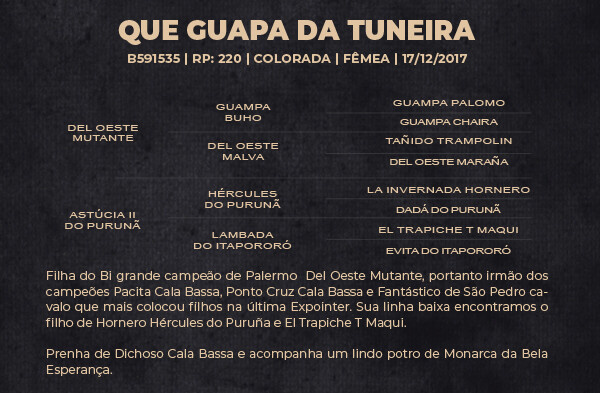 Geração QUE GUAPA DA TUNEIRA