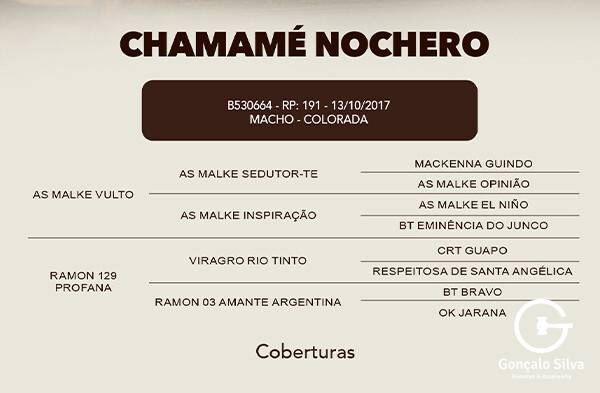 Geração COBERTURA CHAMAME NOCHERO