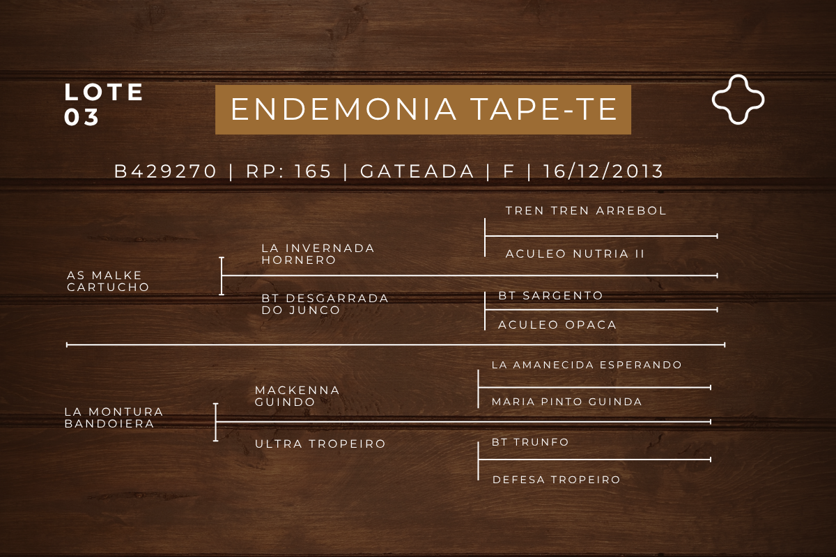 Geração ENDEMONIA TAPE - TE