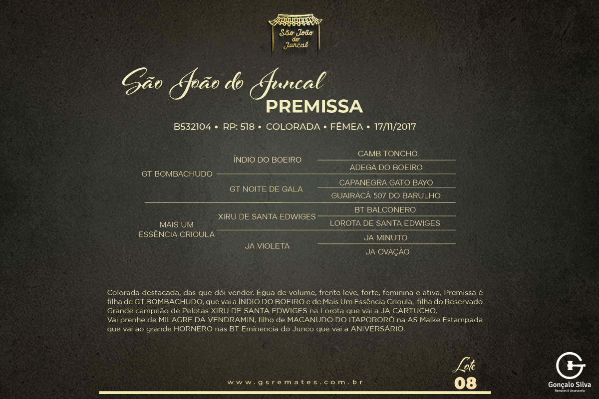 Geração SÃO JOÃO DO JUNCAL PREMISSA