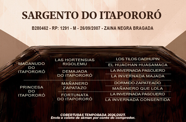 Geração Sargento do Itapororó