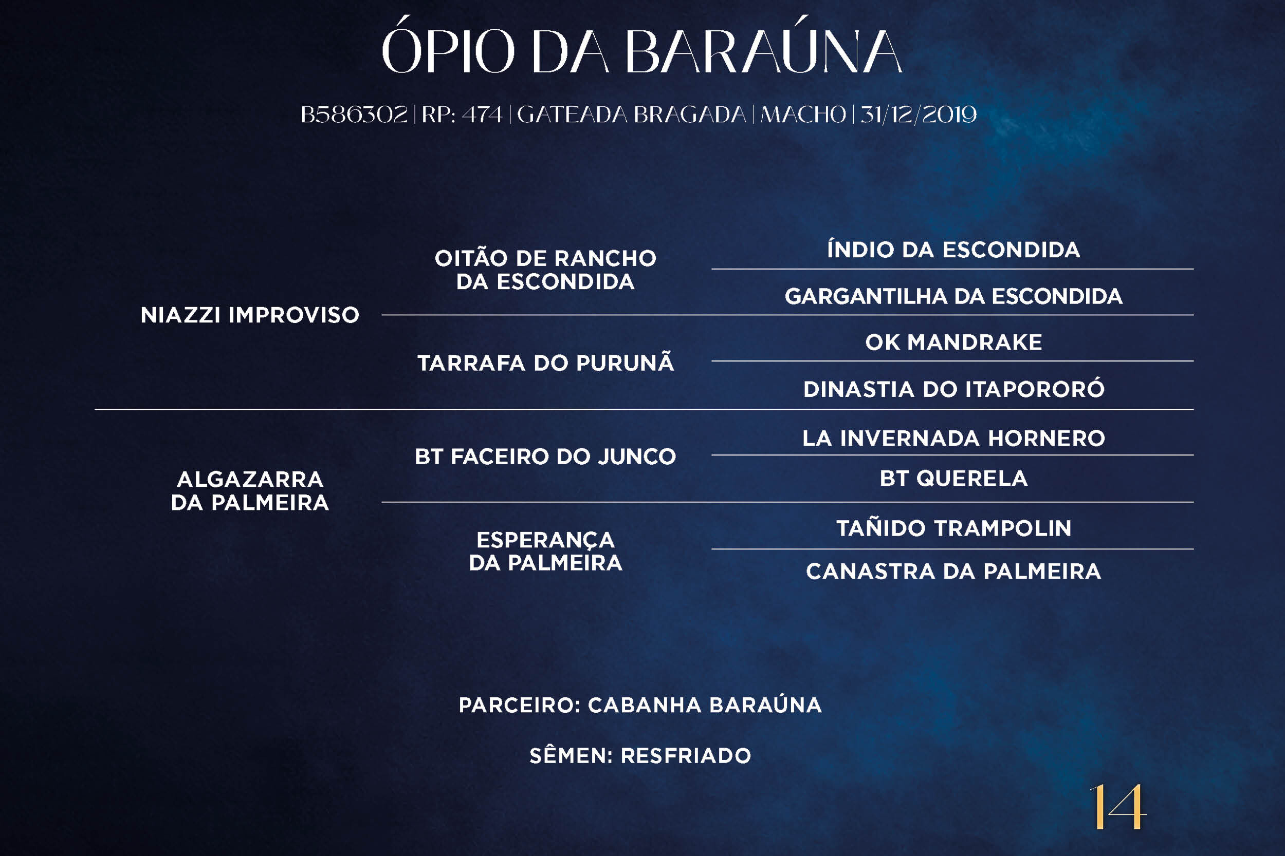 Geração ÓPIO DA BARAÚNA