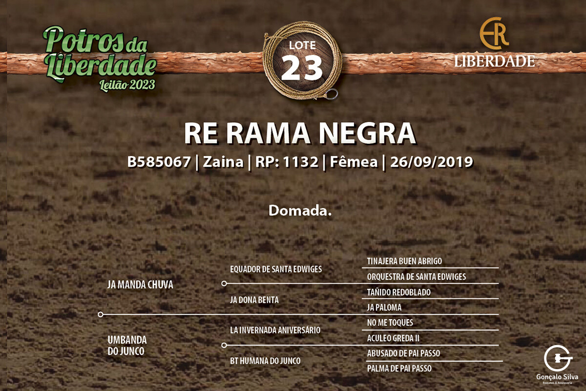 Geração RE RAMA NEGRA