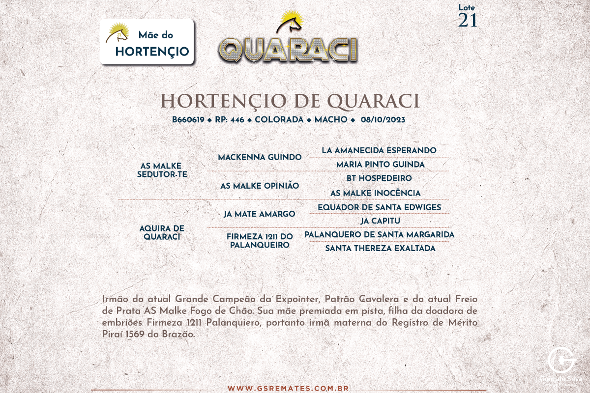 Geração HORTENÇIO DE QUARACI