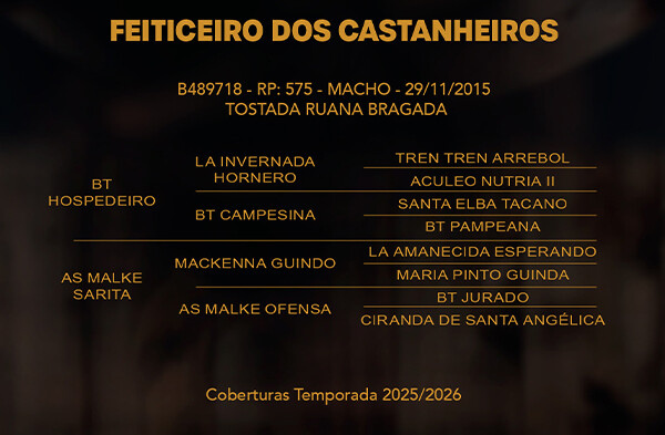 Geração FEITICEIRO DOS CASTANHEIROS