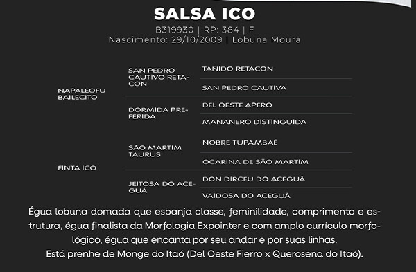 Geração SALSA ICO
