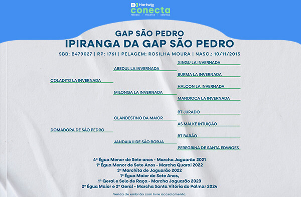 Geração IPIRANGA DA GAP SÃO - (EMBRIÃO)