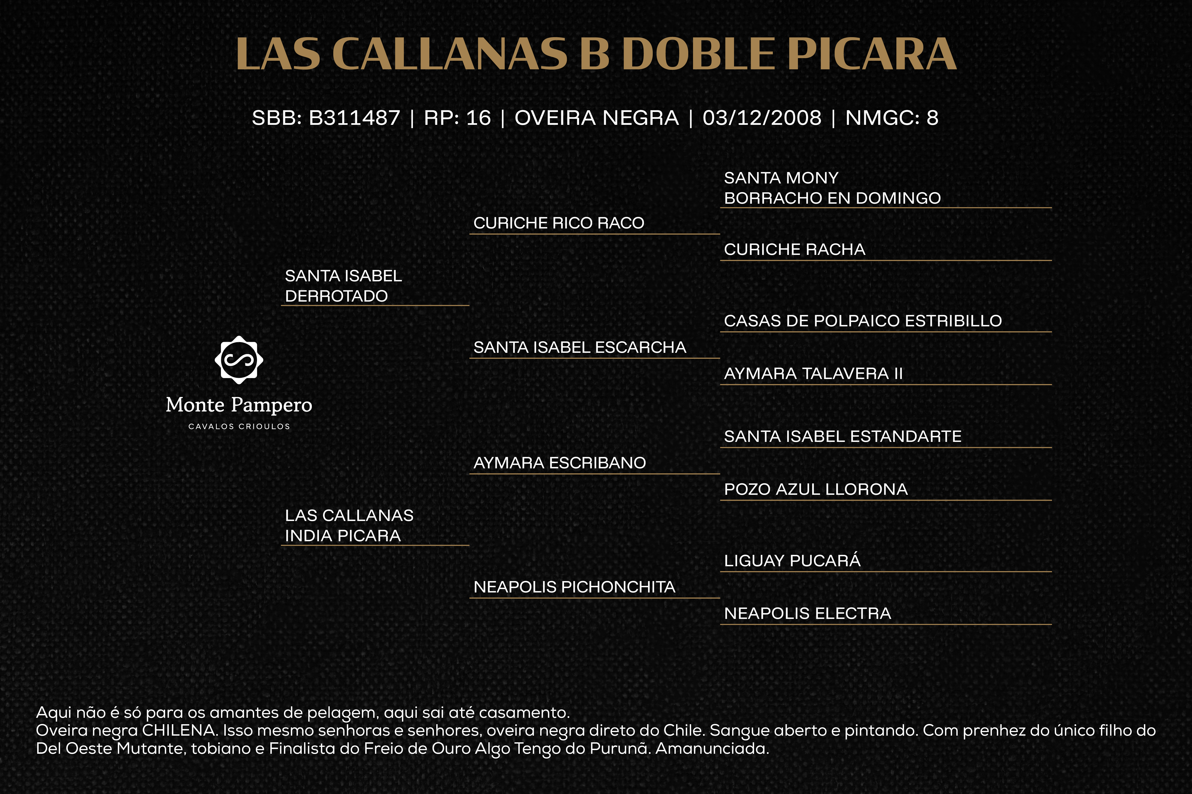 Geração LAS CALLANAS B DOBLE PICARA