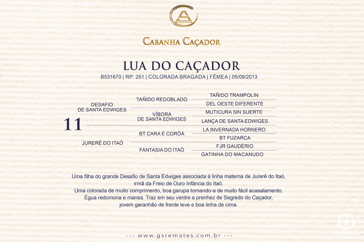 Geração LUA DO CAÇADOR 
