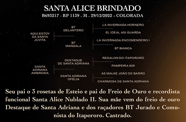 Geração SANTA ALICE BRINDADO