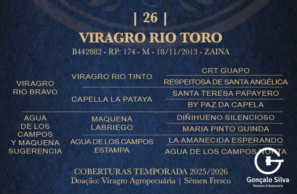 Geração VIRAGRO RIO TORO