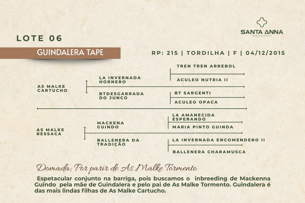 Geração GUINDALERA TAPE