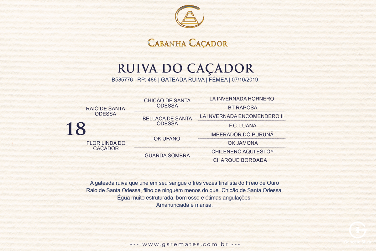 Geração RUIVA DO CAÇADOR